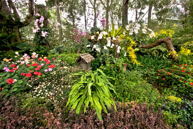 Lushly blooming bushes, trees, and flowers are everywhere