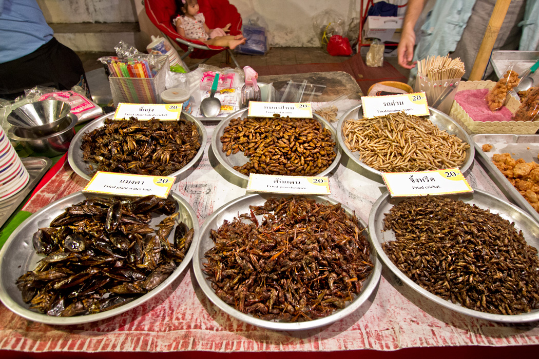 Fried insects are a popular snack at the Sunday Night crafts market in Chiang Mai, Thailand