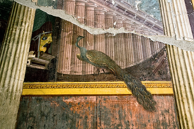 Detail of frescoes in the living room at Villa di Poppaea. Shown here is a tromp l'oeil peacock on a windowsill, with a theatrical mask and row of columns in the background