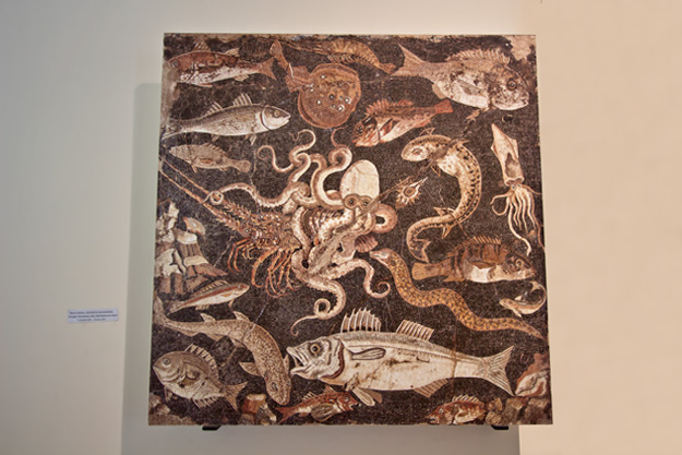 Elaborate sea-life mosaic, discovered in one of the most exclusive villas at Pompeii, now hangs in the National Museum of Archeology in Naples, Italy