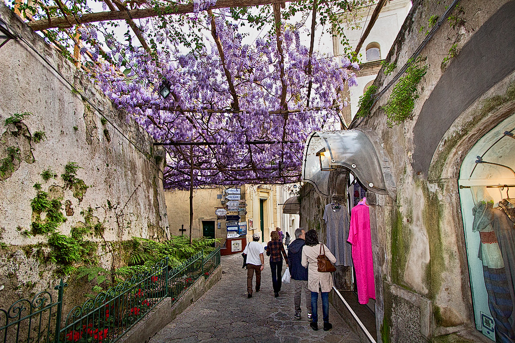 A Canopy of Wisteria in Positano, Italy