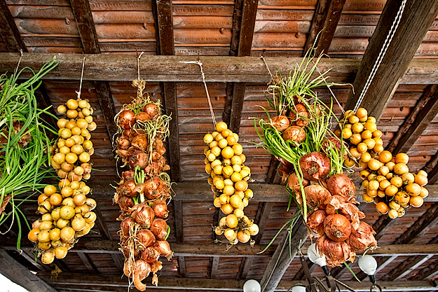 Onions and yellow tomatoes hang to dry at Fattoria Terranova