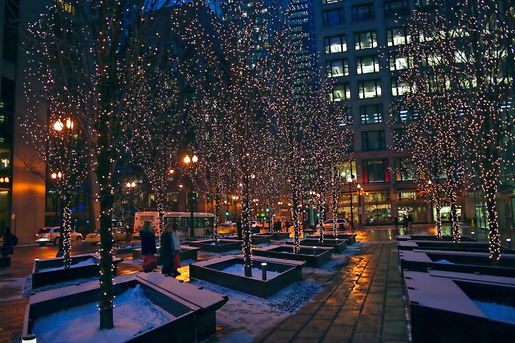 Miniature white lights dress up barren winter trees in a plaza in downtown Chicago at night