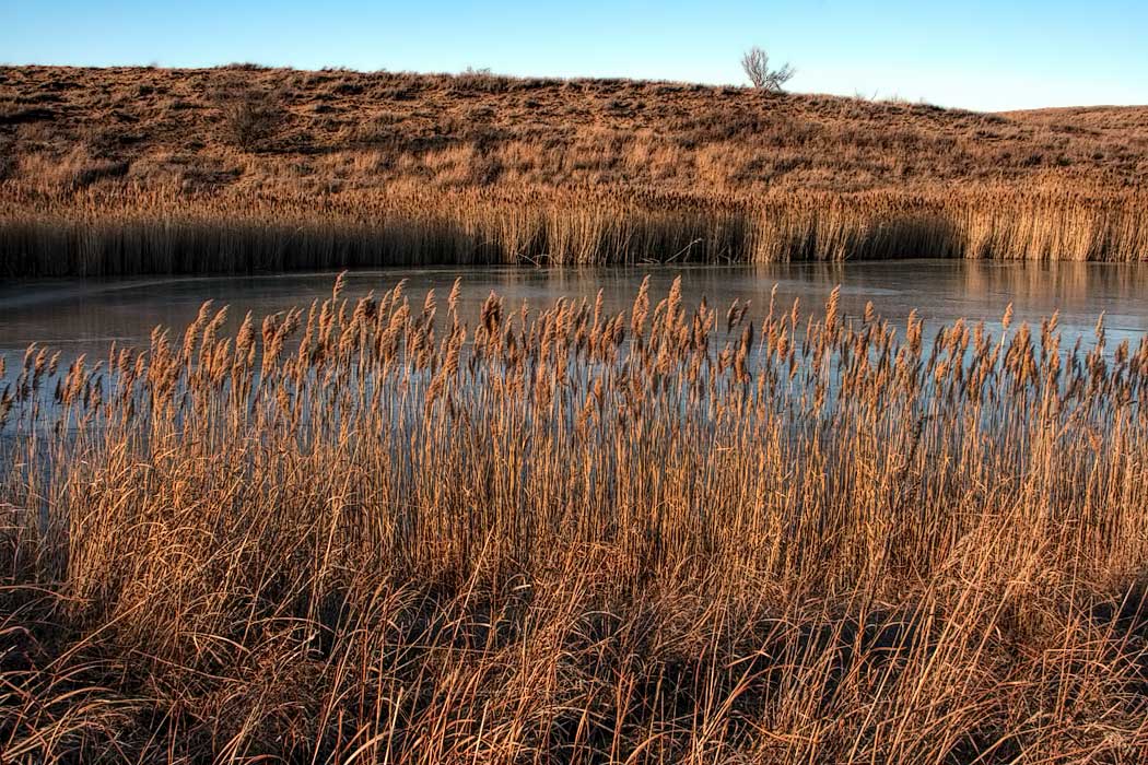 Winter scene at Goose Lake Prairie State Park in Morris, IL, where reclaimed prairie demonstrates the landscape that once covered 60 percent of the State