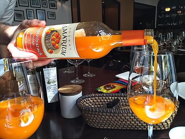 Apricot nectar served with main course at Borkonhya Hungarian Restaurant in Budapest
