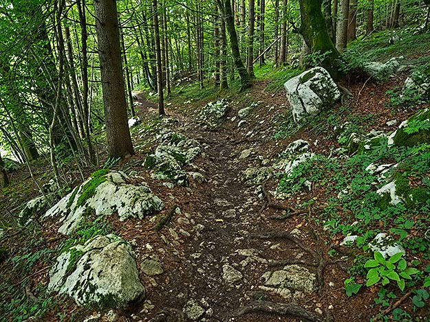 Other parts of the trail picks its way over limestone boulders