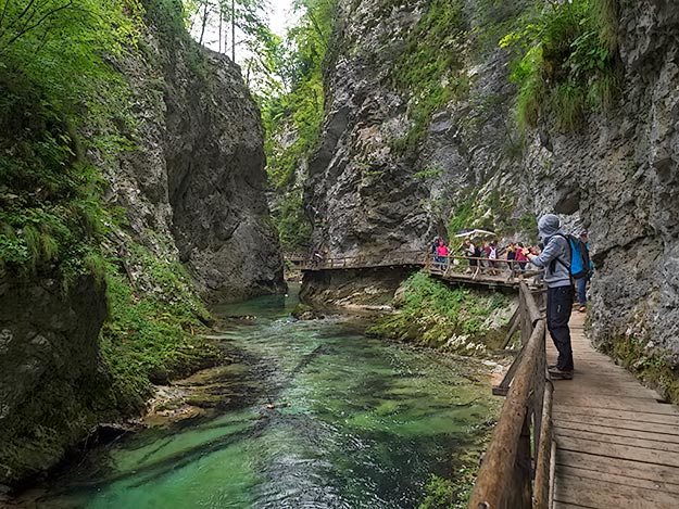 A beautiful view down the Radovna from the hanging wooden walkways in Vintgar Gorge