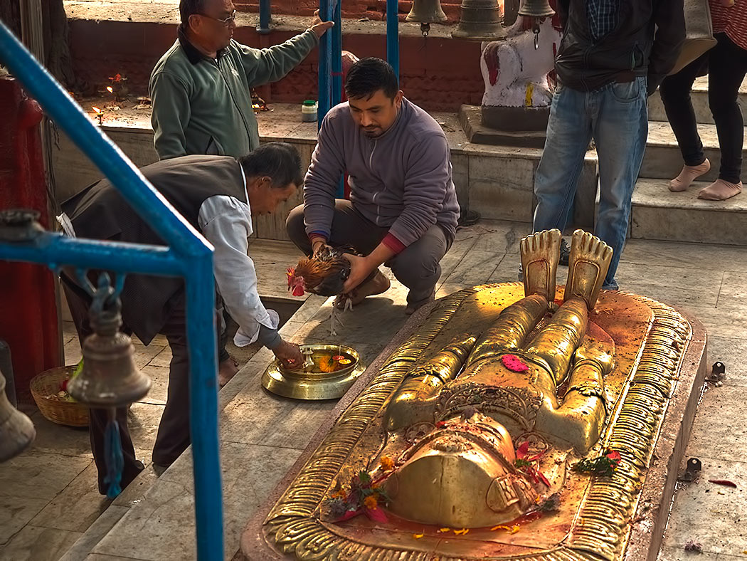 Sacrificing a chicken at the Pachali Bhairab Temple on the Bagmati River in Kathmandu, Nepal