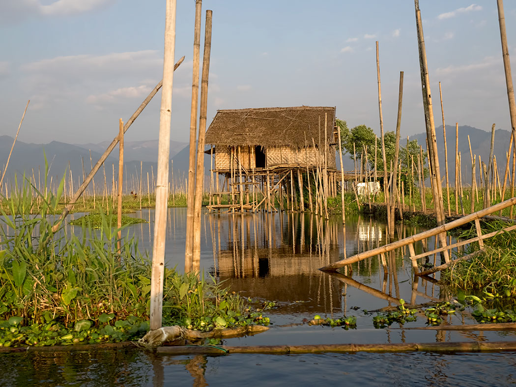 Stilt house on Inle Lake in Myanmar, with floating gardens surrounding the home
