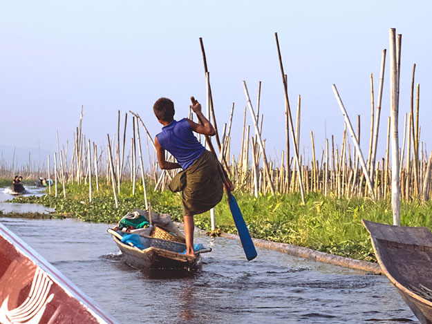 Man paddles through a canal to tend his floating gardens on Inle Lake, Myanmar