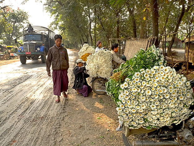 At dawn each morning, motorcyclists pick up fresh flowers from Pyin Oo Lwin and deliver them all over the country