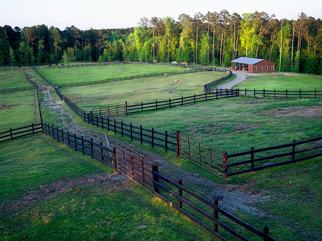Pine Knoll Farms in Columbia County, Georgia, is a popular venue for weddings and special events