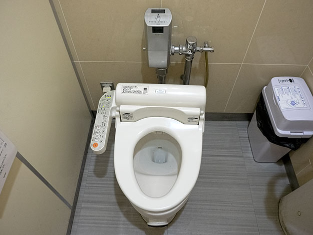 How to use a Japanese toilet - not as simple as you might think