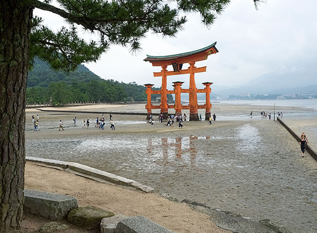 At low tide, visitors to Miyajima Island walk out to the Torii Gate and press coins into its immense legs for good fortune