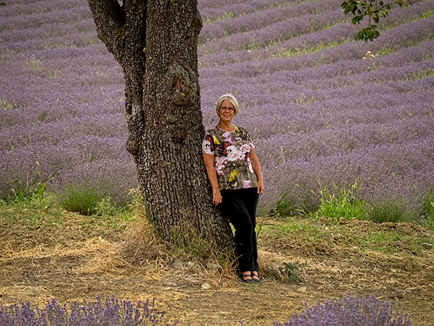 Standing in a field of true Provence lavender, after learning the difference between it and the hybrid lavendin