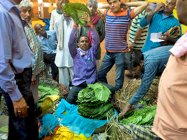 Auction of betel leaves in the Old Market in Agra