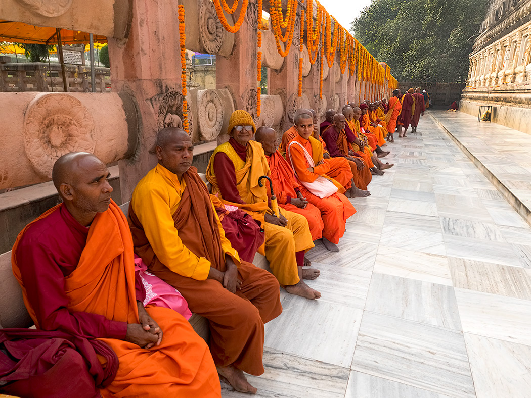 Monks come to Mahabodhi Temple to meditate beneath the ancestor of the Bodhi Tree in Bodh Gaya, India, beneath which Buddha became enlightened