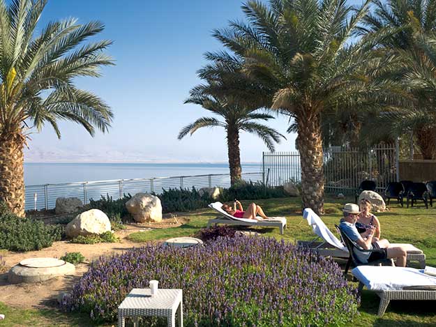 View of the Dead Sea from Ein Gedi Oasis and Spa