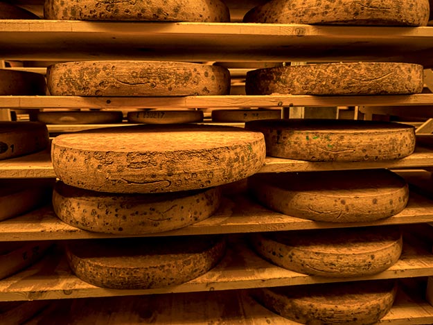 The surface of these 24-month old wheels of cheese at Affineur Vagne in Poligny, France is dark brown and mottled