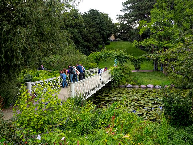 Kids watch turtles from a bridge in the Botanical Garden in Copenhagen, Denmark