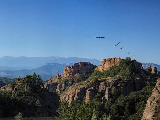 One of the most popular things to see in Bulgaria are the Belogradchik Rocks, where hawks soar above the red rock formations