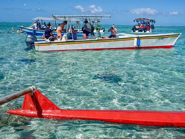 Swimming with sharks and manta rays in Bora Bora