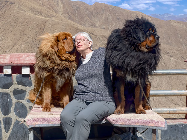 Tibetan Mastiff dogs, on of the most unique Tibetan animals