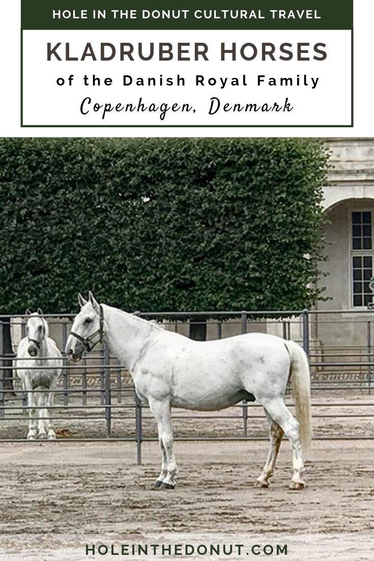 VIDEO: The Kladruber Horses of the Danish Royal Family