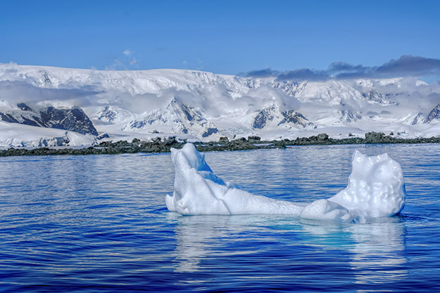 Warmer temperatures had nearly melted this iceberg in Wilhelmina Bay