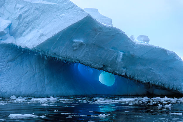 Window into the world of icebergs in Cierva Cove