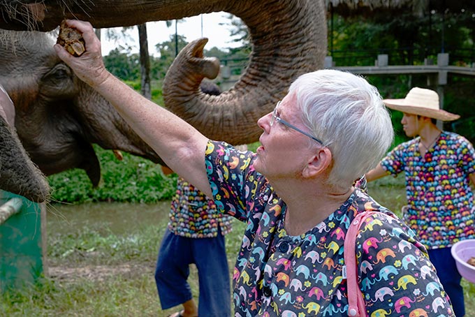 Feeding medicine balls to the elephants at Kanta. This was my favorite of the three facilities we visited.