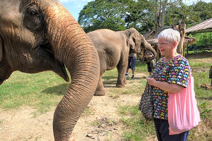 Here, ellie, ellie, ellie! Want a little sugar cane? At Kanta Sanctuary, we were allowed to roam among the herd to feed the elephants.