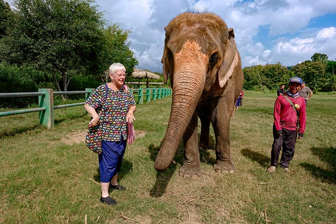 Making friends with a big female elephant at Kanta Elephant Sanctuary