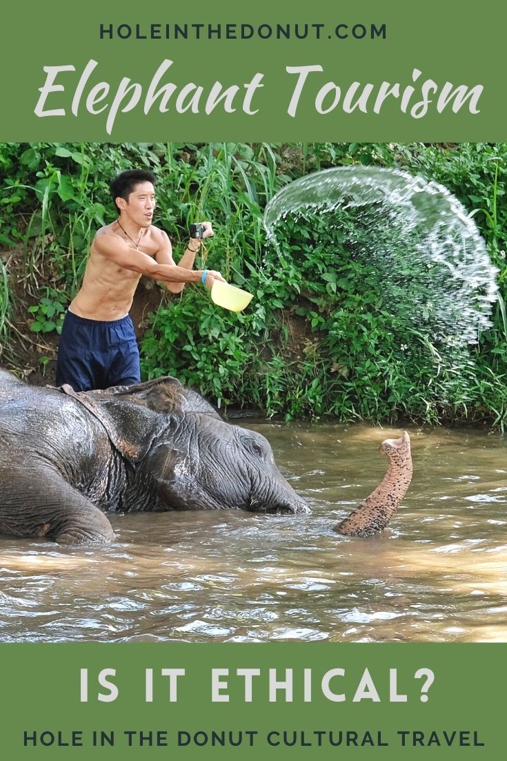 Elephant Tourism - To Ride or Not to Ride, That is the Question