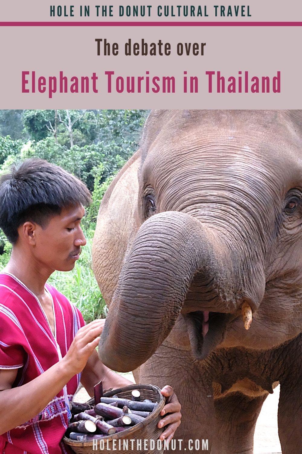 Elephant Tourism - To Ride or Not to Ride, That is the Question