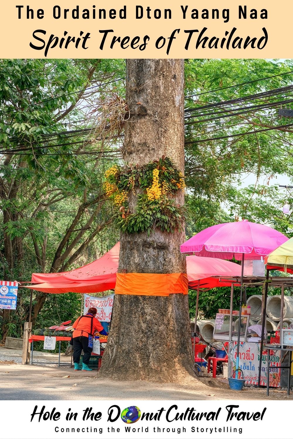 The Ordained Dton Yaang Naa Spirit Trees of Thailand