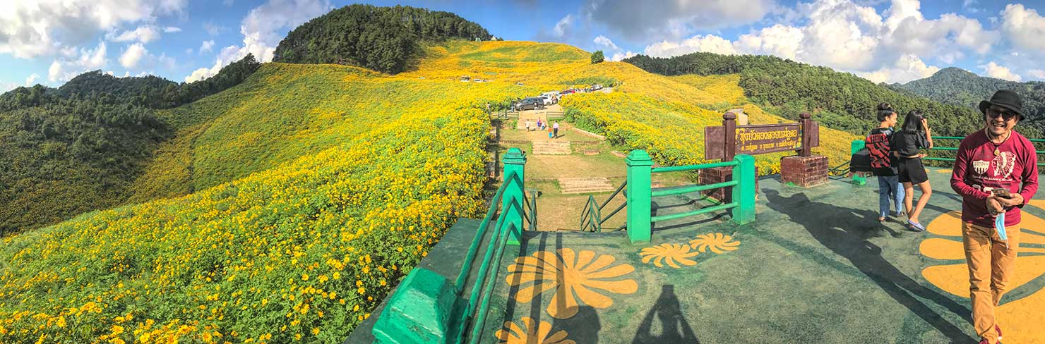 Panoramic view of Ban Mae U Kho Nuea (Thung Bua Tong Forest Park), where the most magnificent displays of Mexican Sunflowers are found