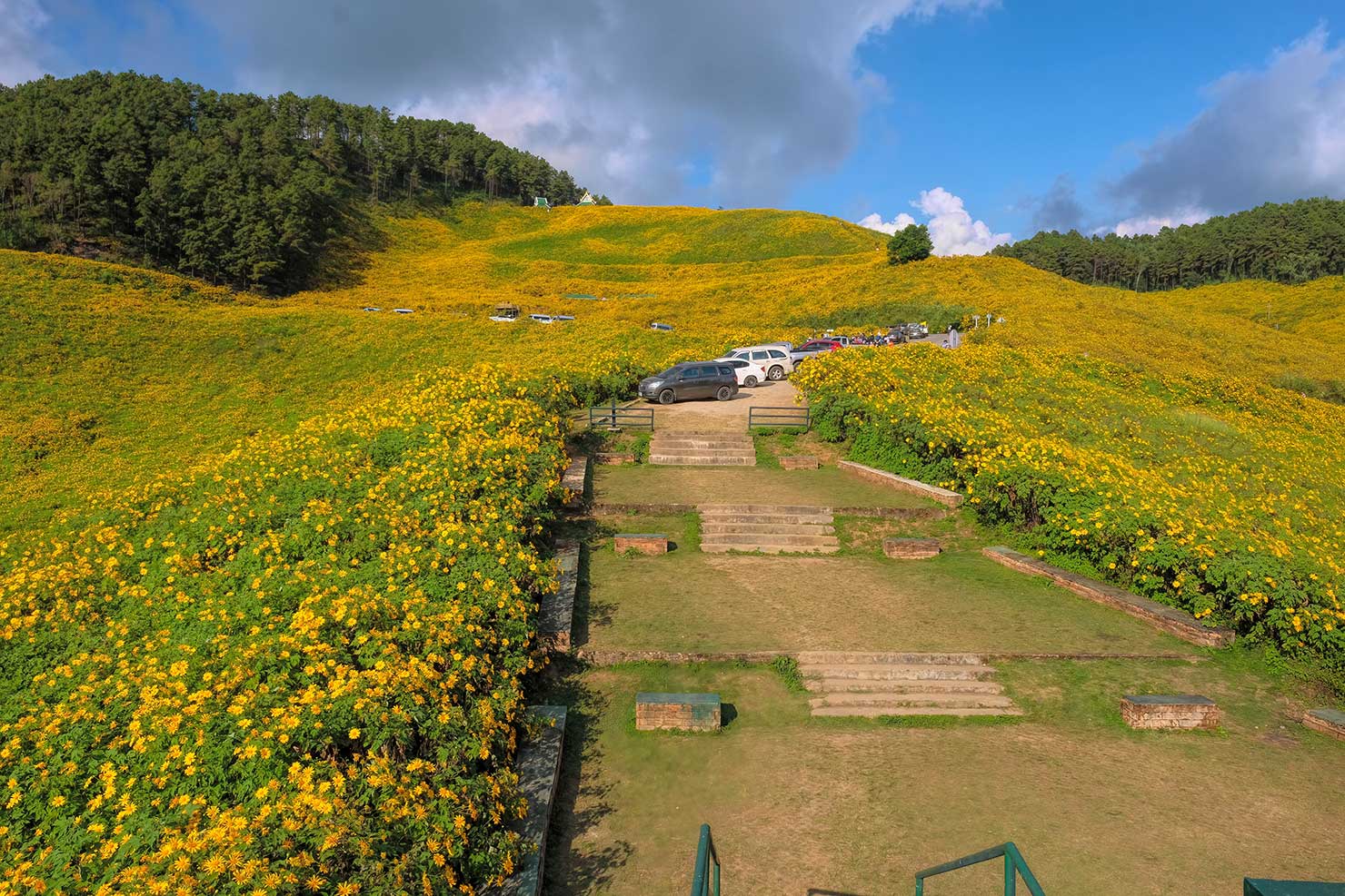 Another straight-on view from the raised platform at Ban Mae U Kho Nuea during the Bua Thong Flower Festival