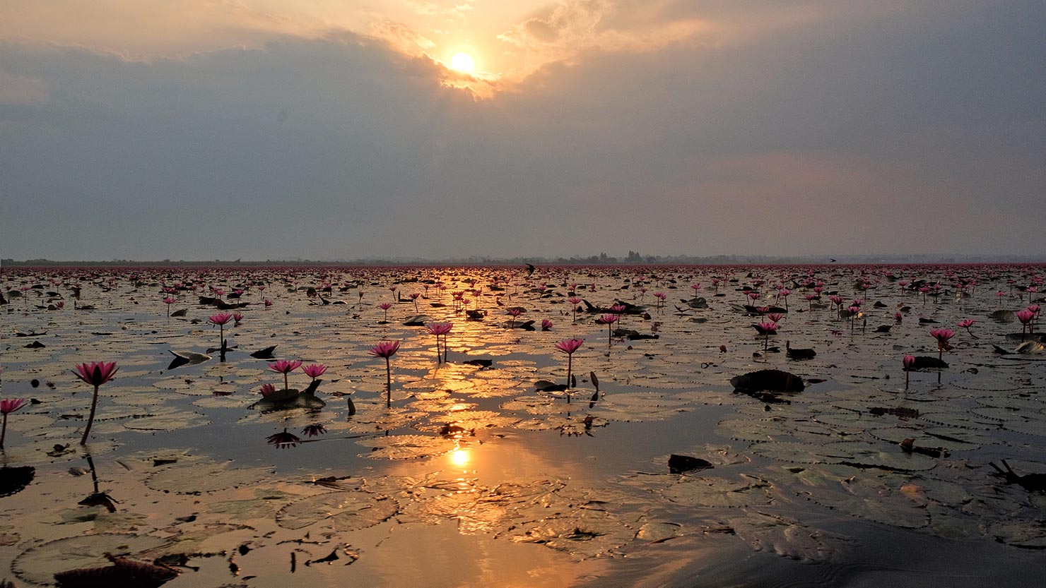 Nong Han Lake turns golden as the sun crests the clouds at dawn