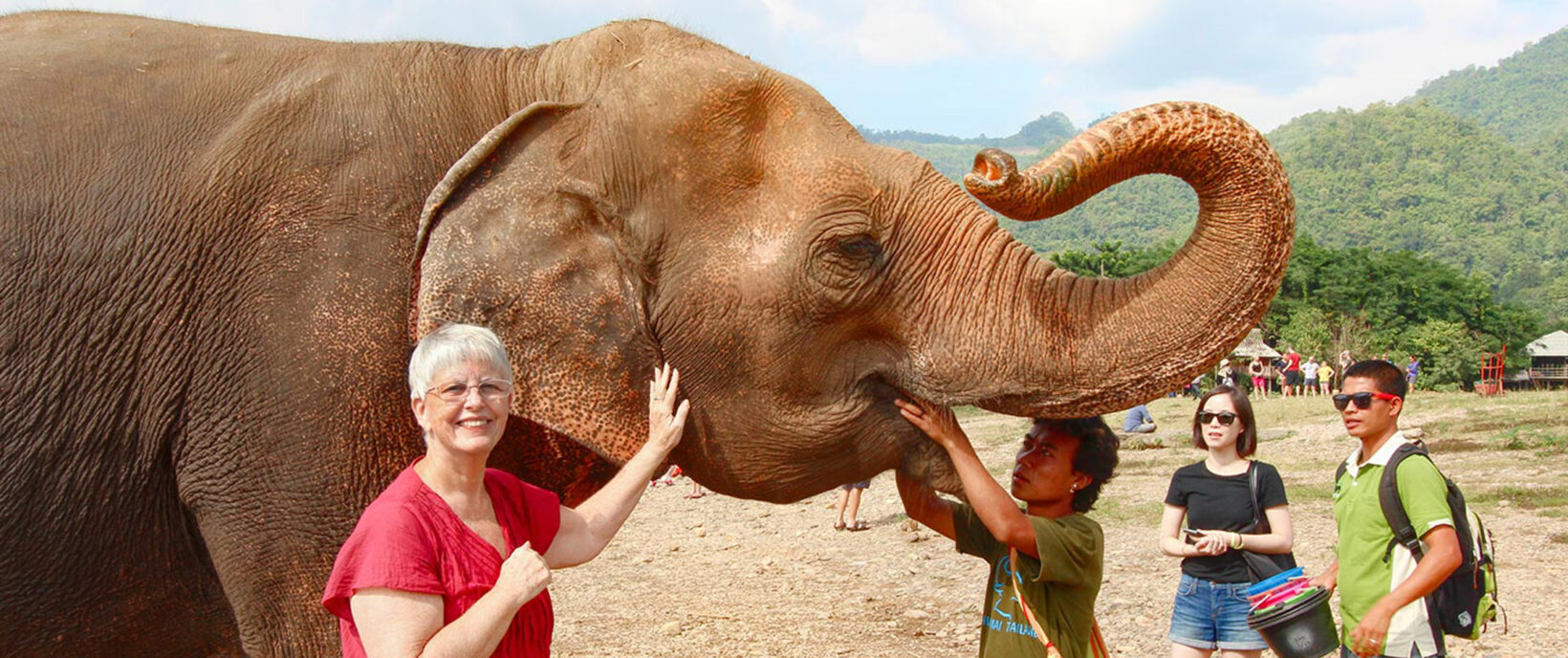 Animals have become another reason why I travel. Here, Barbara Weibel is at Elephant Nature Park in Mae Taeng, Thailand