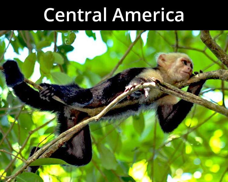 Travel Destination Central America