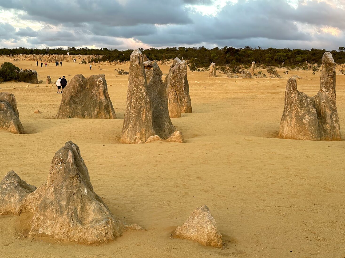 The spires at The Pinnacles in Western Australia come in all sizes