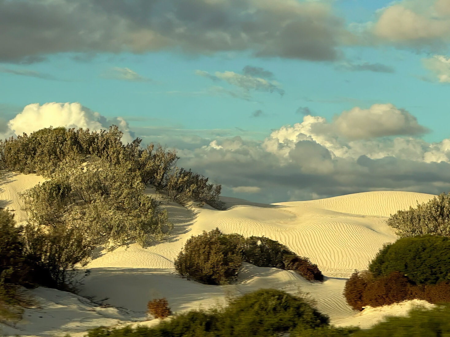 The road to Nambung National Park passes dazzling white wind-blown sand dunes