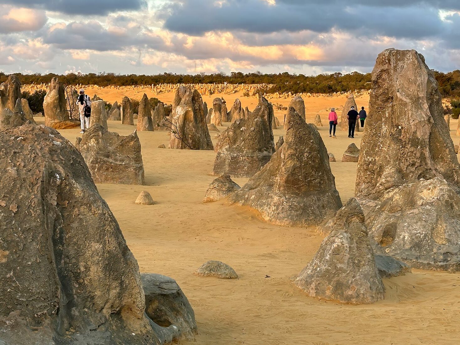 The main field of pinnacles is in the foreground, while the a scattering of smaller pinnacles is seen in the background, on a small dune that is perfect for viewing the sunset