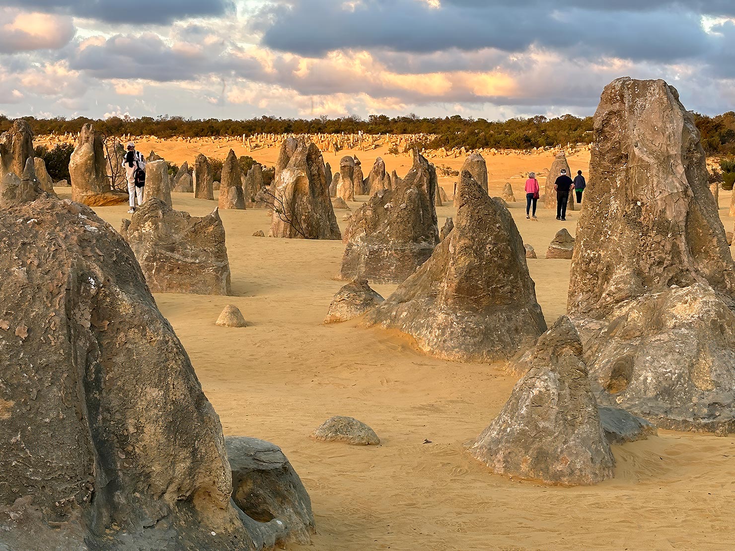 The main field of pinnacles is in the foreground, while the a scattering of smaller pinnacles is seen in the background, on a small dune that is perfect for viewing the sunset