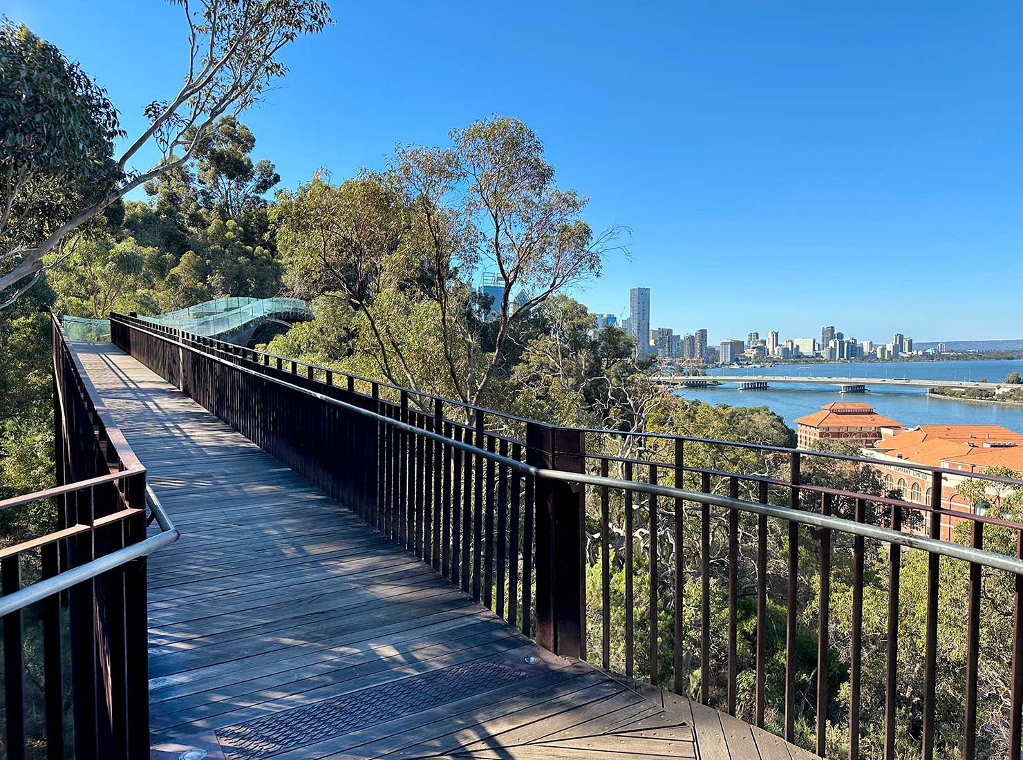 Skywalk in Kings Park in Perth Australia