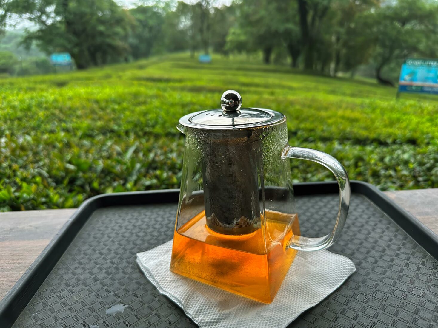 A pot of Jasmine tea and a serene view over the tea fields at Himalayan Brew Tea Garden
