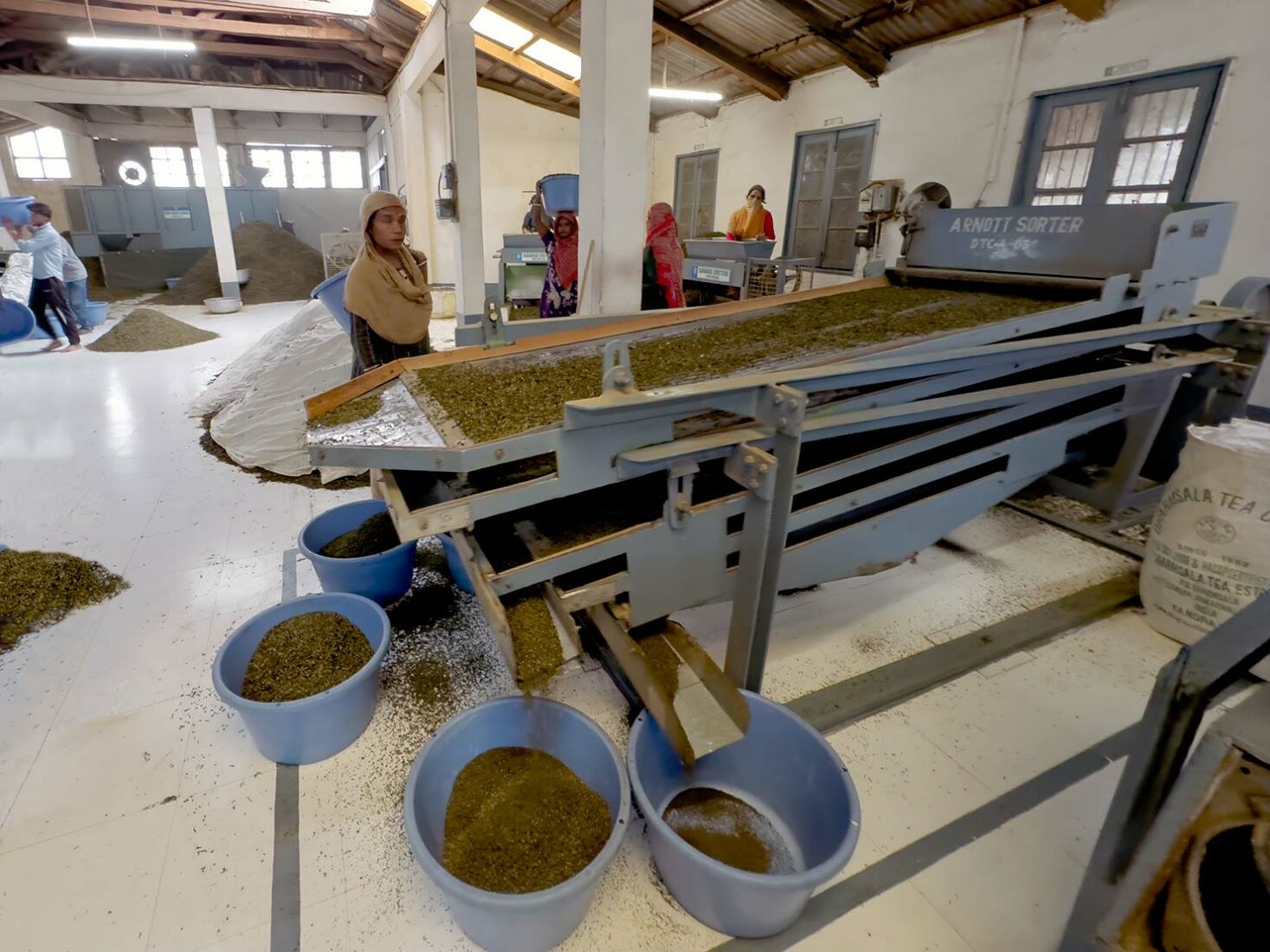 Sorting the dried tea leaves for size at Tea tasting at Dharmsala Tea Company