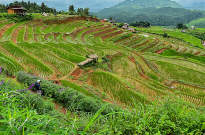 The lush Pa Pong Piang rice terraces near Mae Chaem Thailand