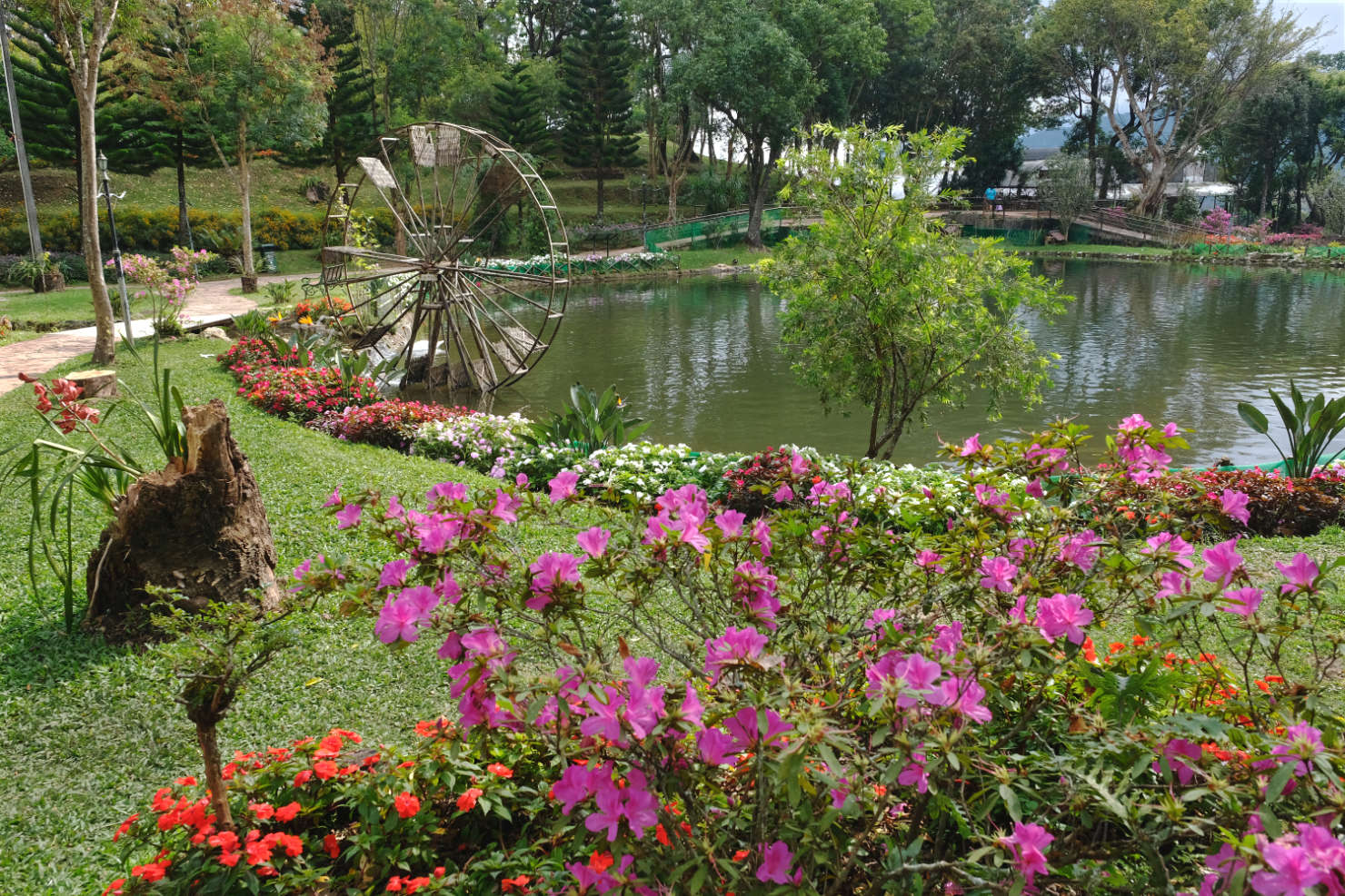 Royal Project Siribhum Garden in the Doi Inthanon mountain region of northern Thailand